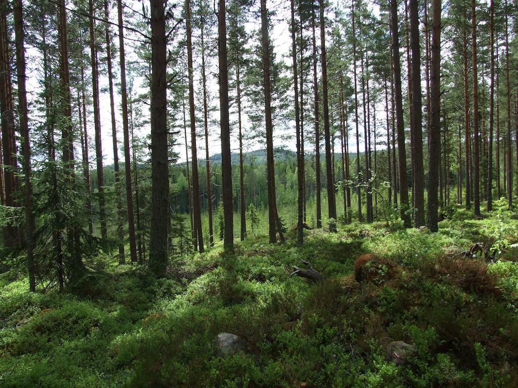 Hovra Vandrarhem Håvra Exterior foto